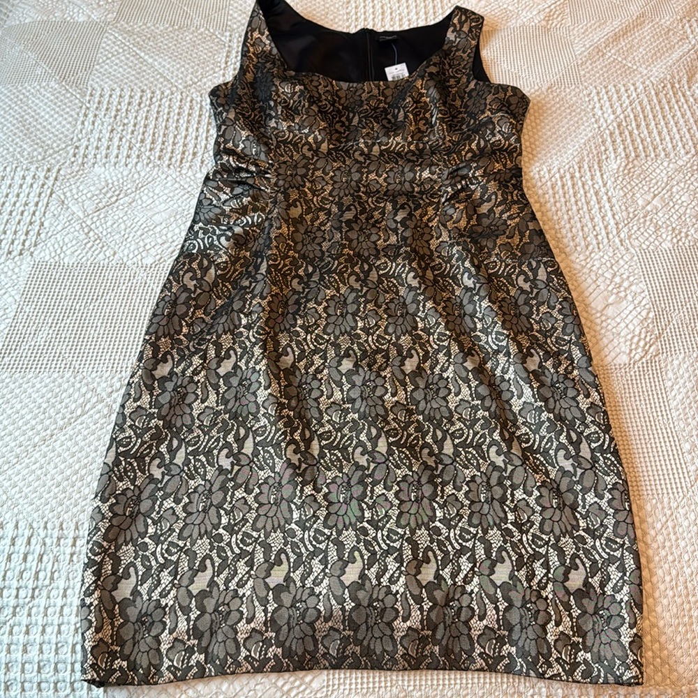 NWT Ann Taylor Dress